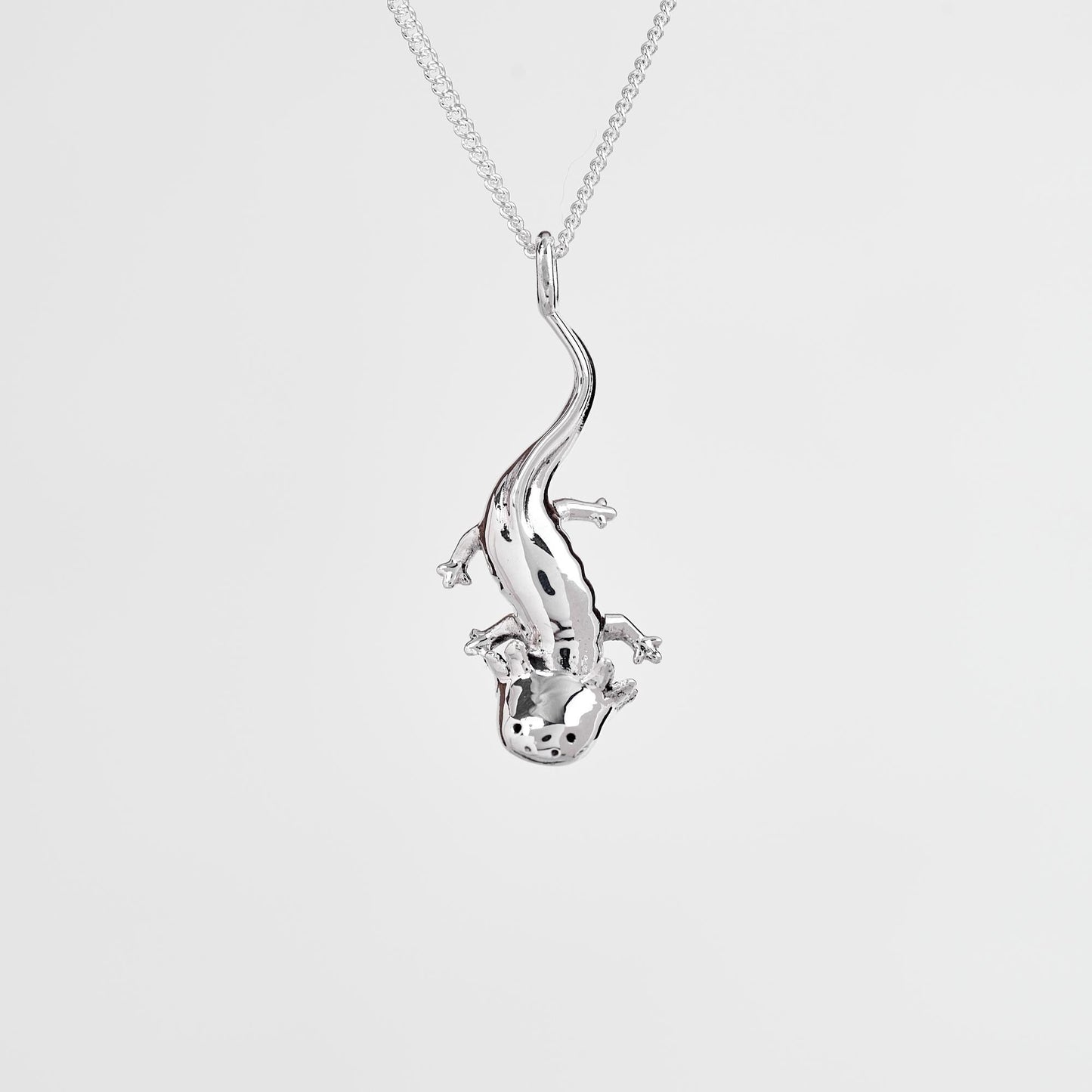 Axolotl Silver Pendant - Mexican Style Jewelry